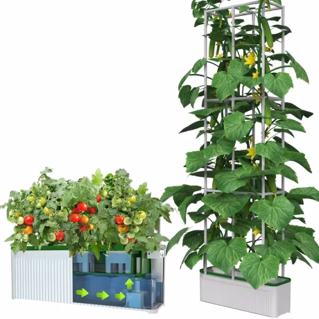 Automatic Intelligent Indoor Mini Hydroponic Professional Commercial Grow box Growing system Complete Kit