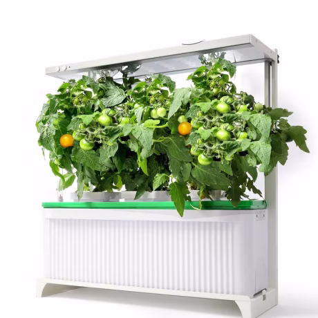 Commercial vegetable grow Hydroponic Planting System Indoor Vertical smart Grow garden With Vegetable Grow Tray indoor plant