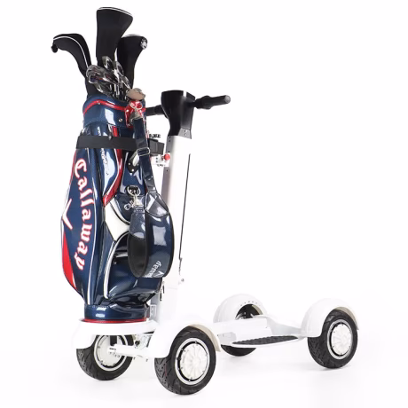 ESWING Hot-selling products folding electric golf scooter 2000W stand on golf scooter in USA warehouse