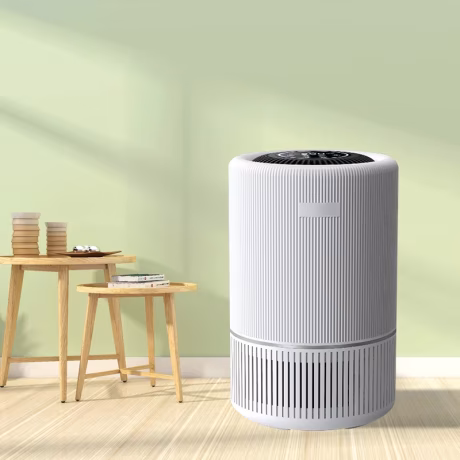 Hair Remover Laser Air Filtration System Electrostatic Air Cleaner Desktop Small Air Purifier Home