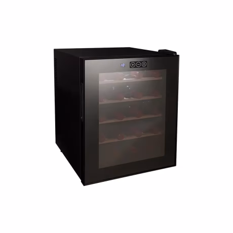 Large Capacity Commercial Use Meat Cured Sausage Aging Machine Wine And Dry Aging Refrigerator