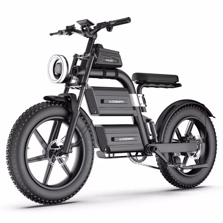 Odeway E20 Dual Battery Electric Bike 20 Inch Fat Tire Off Road Ebike 2000W 60V Powerful Mountain Electric Bicycle