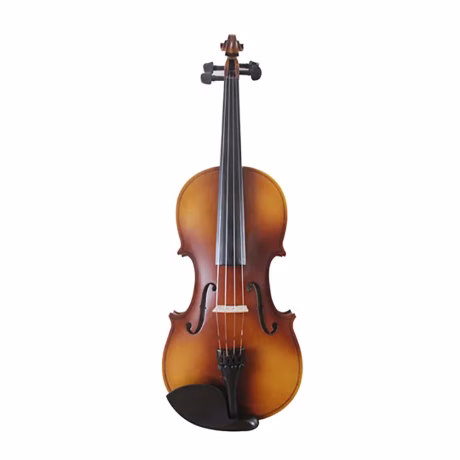 Seasound Factory Cheap Professional Student Viola For Beginners JYVA00