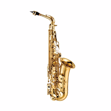 SEASOUND OEM Professional Gold Alto Saxophone For Musician JYAS102P