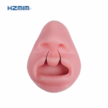 Silicone Harelip Suture Training Model Kit Anatomical Medical Science Practice Cleft Lip Suture Kit