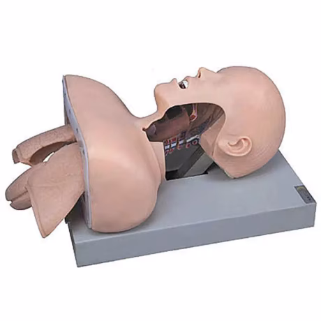 SZMIQU Medical Model and Laboratory Equipment Manikin Electronic Human Tracheal Intubation Training Model Cpr E1 Medical Science