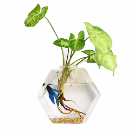Wall Vase Planters for Indoor Plants Geometric Hanging Flower Vase Vessel Wall Mounted Succulent Pot Holder Decor