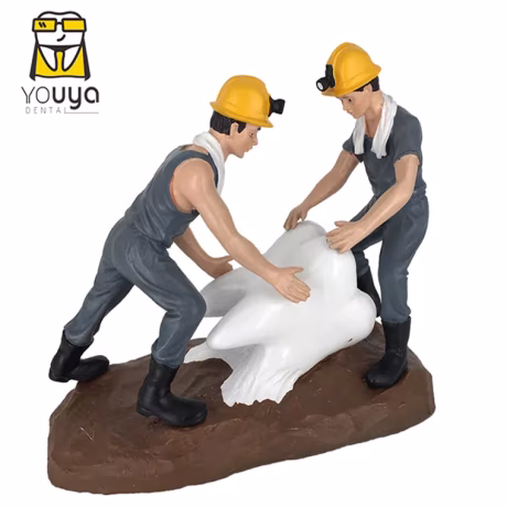Wholesale Popular Dental Resin Crafts Dentist Sculptures For Decoration