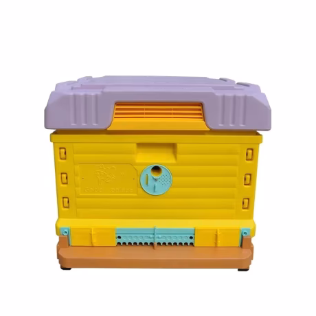 1 Layer Insulation Plastic Beehive 10 Frames Thermo Beehive Langstroth Beehive Top Bee Feeder Garden Yard Farm Beekeeping Supply