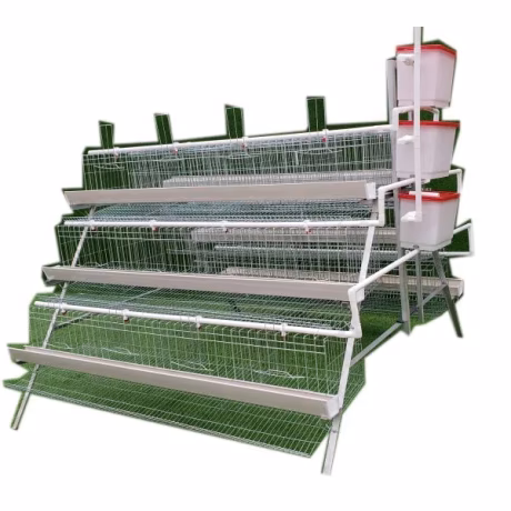 A Type Automatic Battery Chicken Layer Cage System Poultry Farming Equipment In Burkina Faso