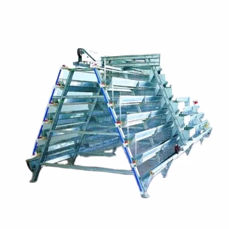 Automatic Chicken layer Cages with Manure Cleaning System for Chicken Farming