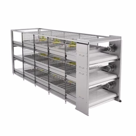 Automatic H Type Galvanized Chicken Cage Laying Hens Galvanize Wire Chicken Layer Cage Poultry Farming In Kenya