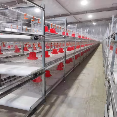 Chicken Farming Automatic Broiler Battery Chicken Cages Poultry Equipments