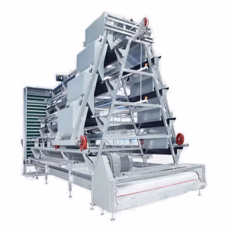 Chicken farming egg laying A type automatic battery layer chicken cage