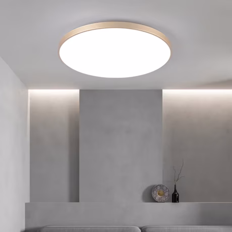 Dingdian LED Energy Saving Modern Ultra Thin Dusty Proof AC220V 32W Daily White Light LED Ceiling Lights for Bedroom Dining Room