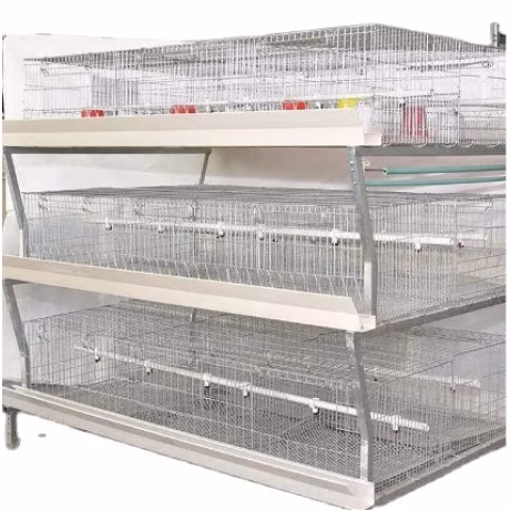 Factory Price Chicken House Poultry Broiler Chicken Cages For kenya Farm