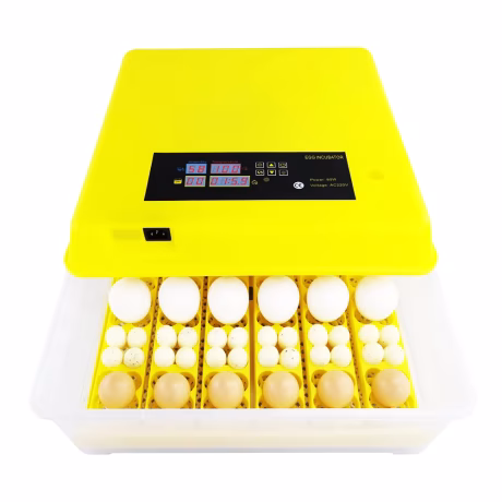Farming Full Microcomputer Reptile Egg Incubators Automatic Hatching Machine
