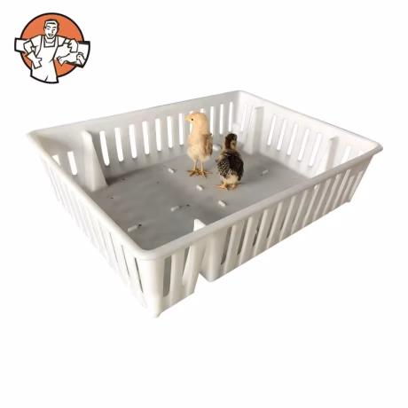 Fengmu SHF03-1 High Quality green farm boxes transport crate for small chick