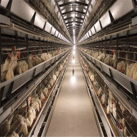 Fully Automatic Poultry Farm Laying Hens Multi Tiers H type Layer Chicken Cage
