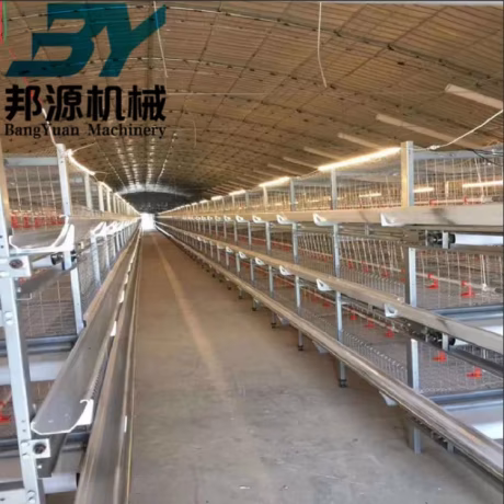 Good Price Automatic Poultry Chicken Farm Battery Broiler Layer Hen Chicken Cage
