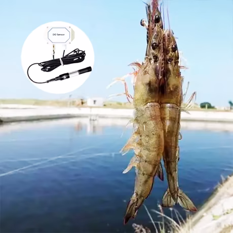 HONDE Online Monitoring Digital RS485 MODBUS Water Dissolved Oxygen Sensor For Shrimp Farm