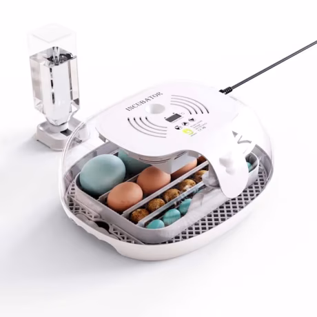 Laboratory mini 16 couveuse solaire egg incubator brooder hatching farming machine price