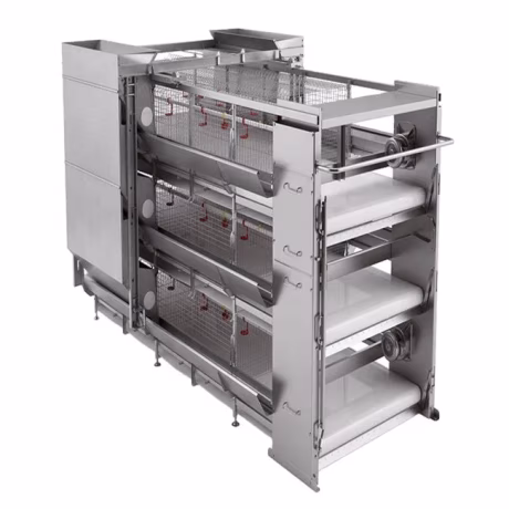 Modern turnkey poultry farm solution H Frame Automatic Laying hen Cage Layer Chicken Cage Fully Automatic
