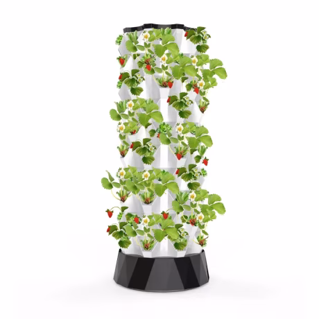 New Agricultural Greenhouse Vertical Farming irrigation hydroponics equipment Hydroponic System Indoor Pineapple Aeroponic Tower