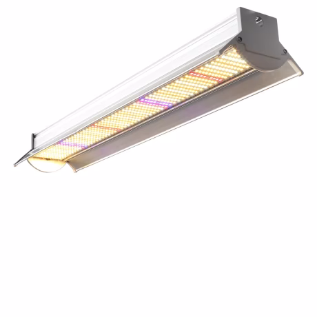 Sinjialight 280W full spectrum 560pcs leds grow light for vertical farm medical plant green house small garden