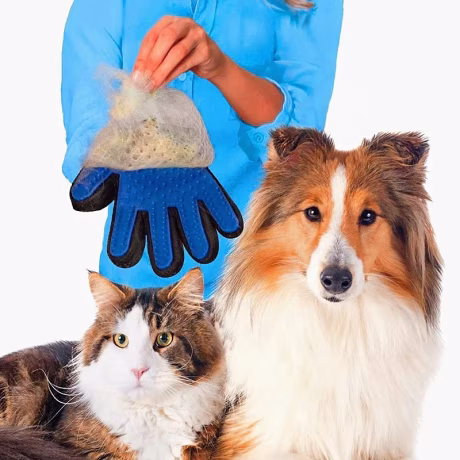 Cat Hair Remove Brush Cat Grooming Tool Pet Brush for Cat Dog Hair Remove Comb Dog Deshedding Cleaning Combs Massage Brush