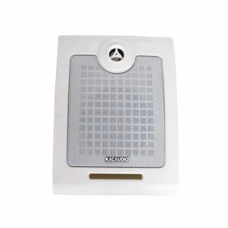 Mini Wall Professional On Oem Active Ceiling Mount Speaker