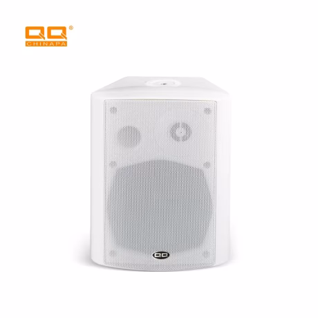 QQCHINAPA Hot sell WiFi Portable Wall Speaker Home Audio System For Home,Shop,School