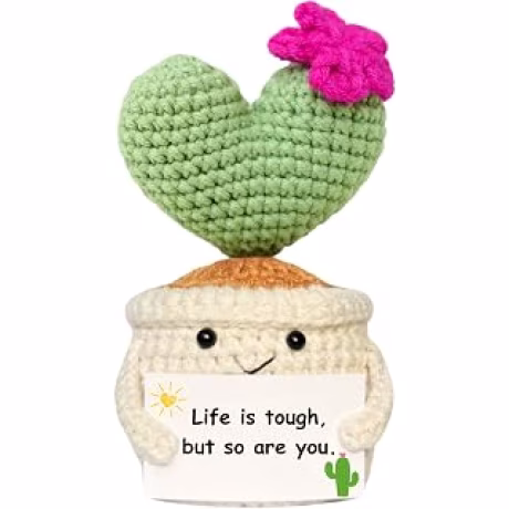 Planta de cactus de ganchillo hecha a mano para mujer