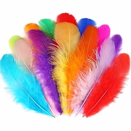 Soarer — Plumas de colores surtidos para manualidades