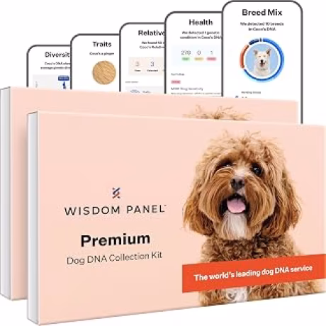 Wisdom Panel Premium — Kit de prueba de ADN para perros