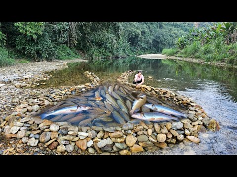 Full video of Ana's 31 days of fishing in the stream. Caught many big ...